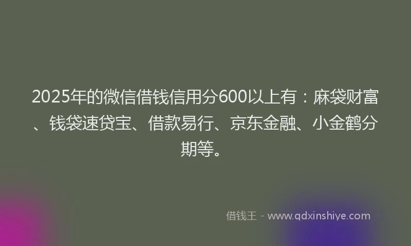 2025年的微信借钱信用分600以上有：麻袋财富、钱袋速贷宝、借款易行、京东金融、小金鹤分期等。