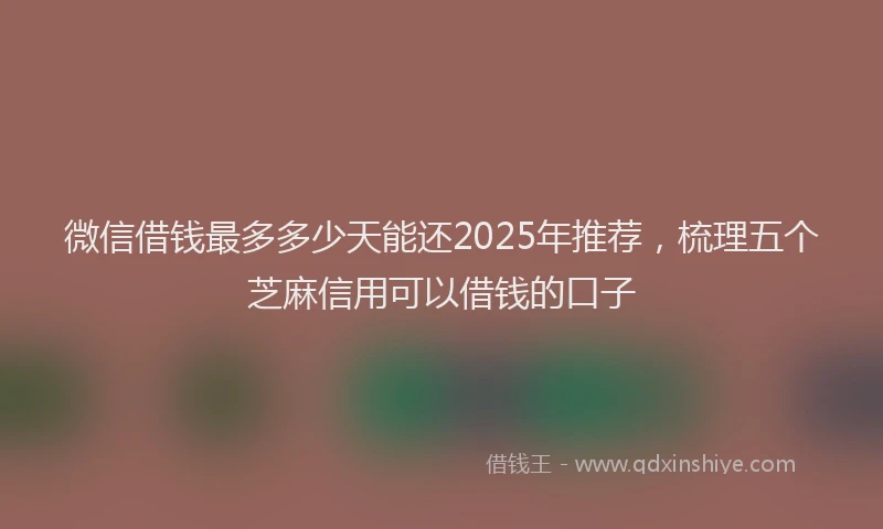 微信借钱最多多少天能还2025年推荐，梳理五个芝麻信用可以借钱的口子