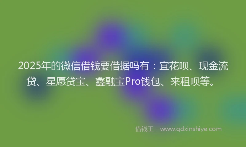 2025年的微信借钱要借据吗有：宜花呗、现金流贷、星愿贷宝、鑫融宝Pro钱包、来租呗等。