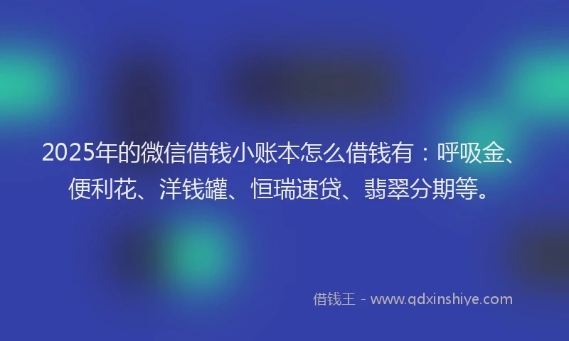 2025年的微信借钱小账本怎么借钱有：呼吸金、便利花、洋钱罐、恒瑞速贷、翡翠分期等。