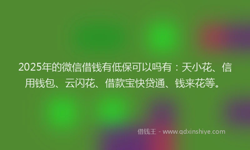 2025年的微信借钱有低保可以吗有：天小花、信用钱包、云闪花、借款宝快贷通、钱来花等。
