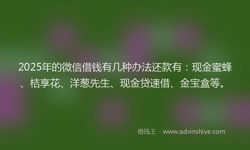 2025年的微信借钱有几种办法还款有：现金蜜蜂、桔享花、洋葱先生、现金贷速借、金宝盒等。