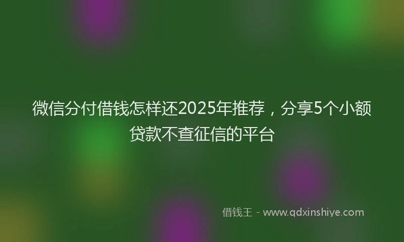微信分付借钱怎样还2025年推荐，分享5个小额贷款不查征信的平台
