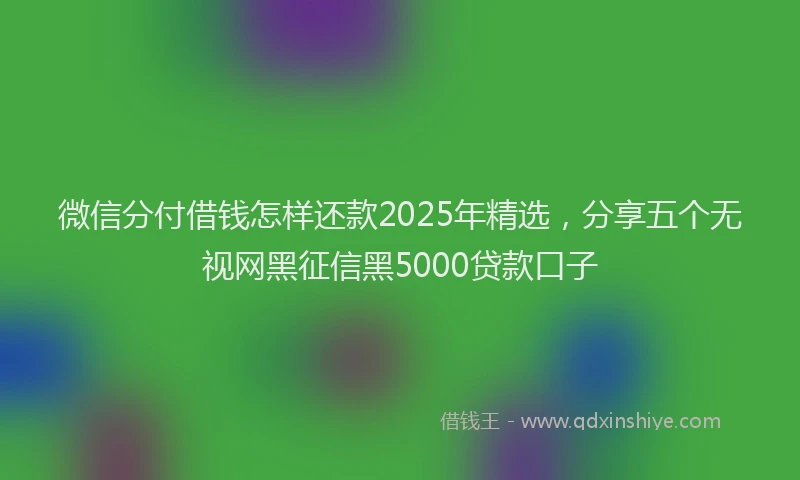 微信分付借钱怎样还款2025年精选，分享五个无视网黑征信黑5000贷款口子