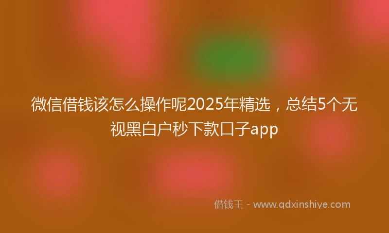 微信借钱该怎么操作呢2025年精选，总结5个无视黑白户秒下款口子app