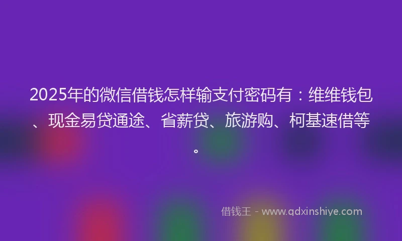 2025年的微信借钱怎样输支付密码有：维维钱包、现金易贷通途、省薪贷、旅游购、柯基速借等。