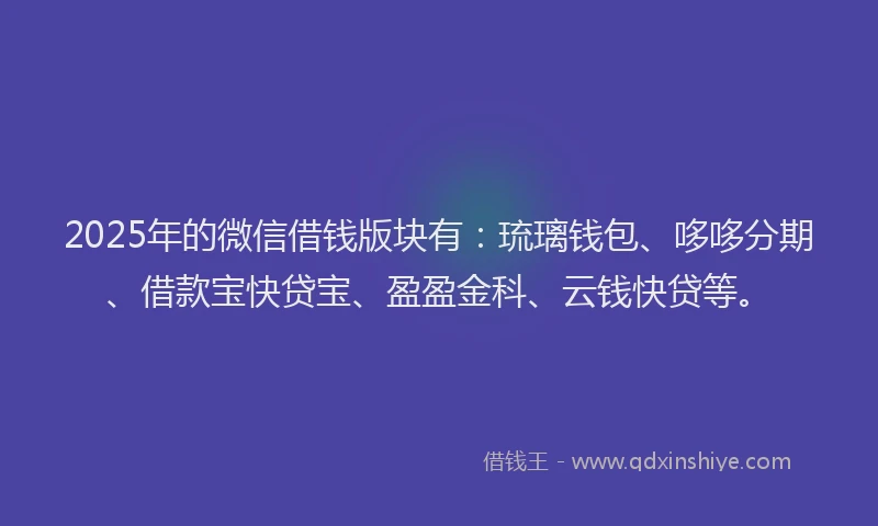 2025年的微信借钱版块有：琉璃钱包、哆哆分期、借款宝快贷宝、盈盈金科、云钱快贷等。