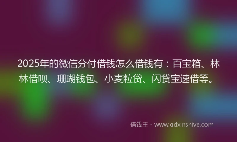 2025年的微信分付借钱怎么借钱有：百宝箱、林林借呗、珊瑚钱包、小麦粒贷、闪贷宝速借等。