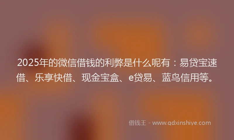 2025年的微信借钱的利弊是什么呢有：易贷宝速借、乐享快借、现金宝盒、e贷易、蓝鸟信用等。