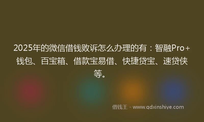 2025年的微信借钱败诉怎么办理的有：智融Pro+钱包、百宝箱、借款宝易借、快捷贷宝、速贷侠等。