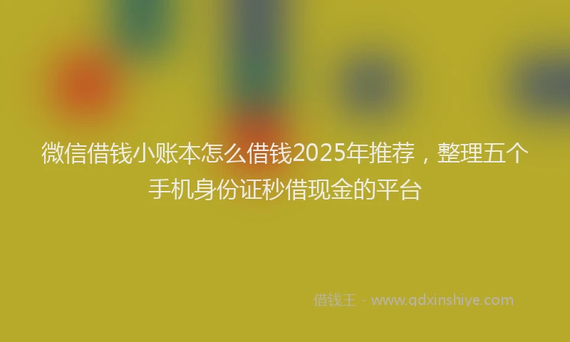 微信借钱小账本怎么借钱2025年推荐，整理五个手机身份证秒借现金的平台