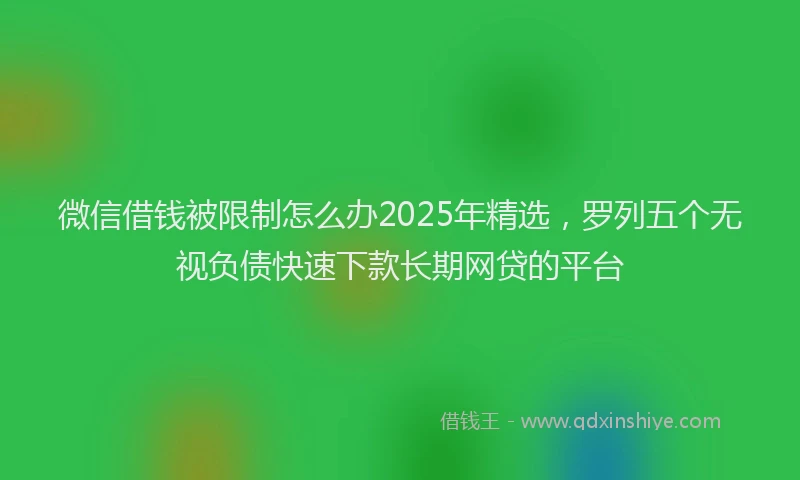 微信借钱被限制怎么办2025年精选，罗列五个无视负债快速下款长期网贷的平台