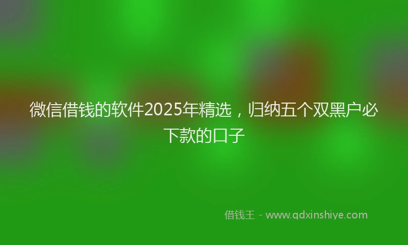 微信借钱的软件2025年精选，归纳五个双黑户必下款的口子
