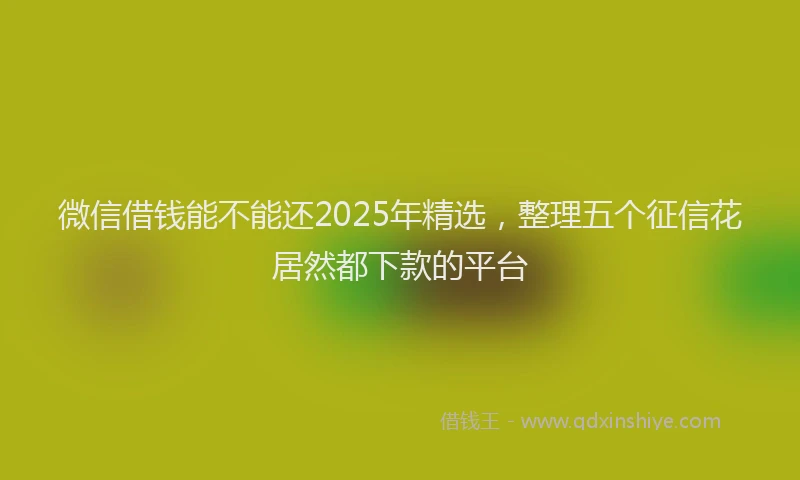 微信借钱能不能还2025年精选，整理五个征信花居然都下款的平台