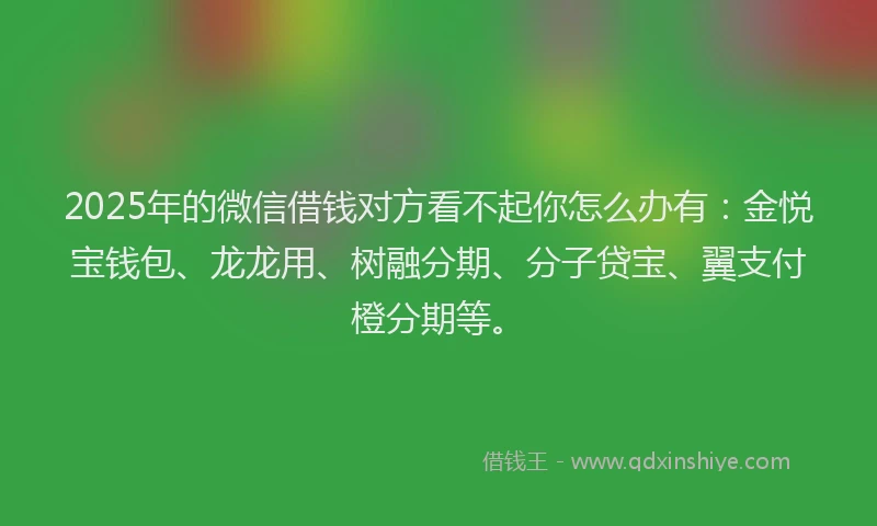 2025年的微信借钱对方看不起你怎么办有：金悦宝钱包、龙龙用、树融分期、分子贷宝、翼支付橙分期等。