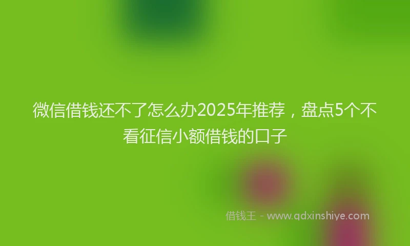 微信借钱还不了怎么办2025年推荐，盘点5个不看征信小额借钱的口子