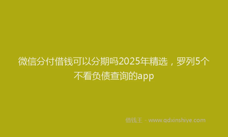 微信分付借钱可以分期吗2025年精选，罗列5个不看负债查询的app