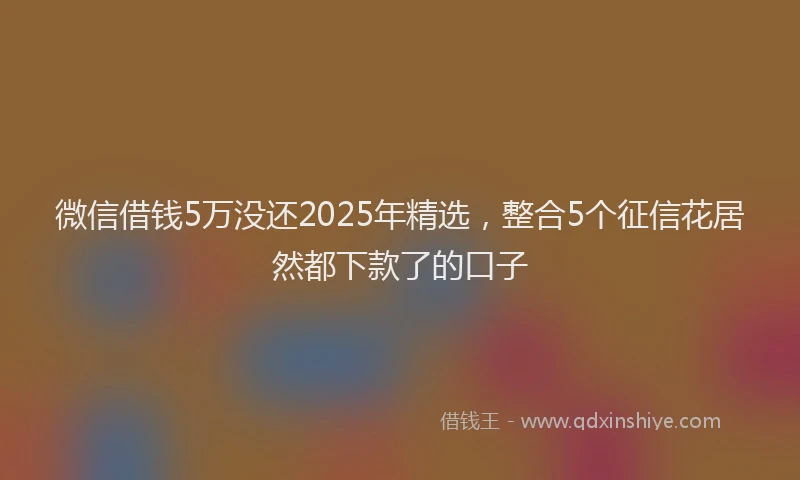 微信借钱5万没还2025年精选，整合5个征信花居然都下款了的口子