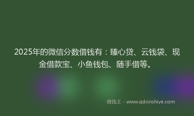 2025年的微信分数借钱有：臻心贷、云钱袋、现金借款宝、小鱼钱包、随手借等。