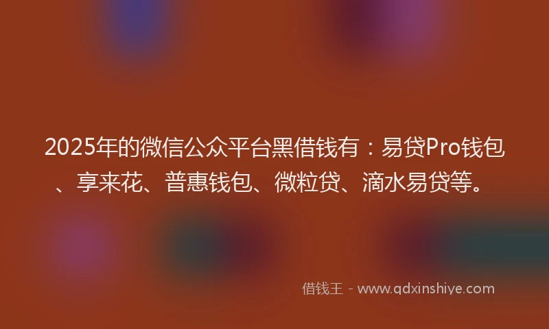 2025年的微信公众平台黑借钱有：易贷Pro钱包、享来花、普惠钱包、微粒贷、滴水易贷等。