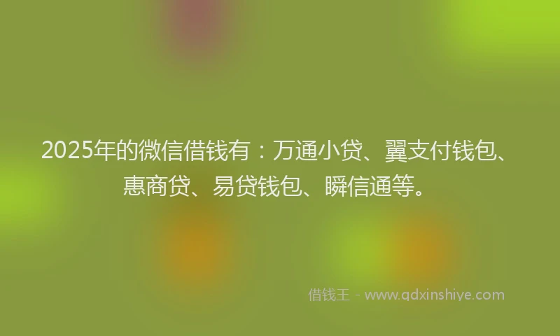 2025年的微信借钱有：万通小贷、翼支付钱包、惠商贷、易贷钱包、瞬信通等。