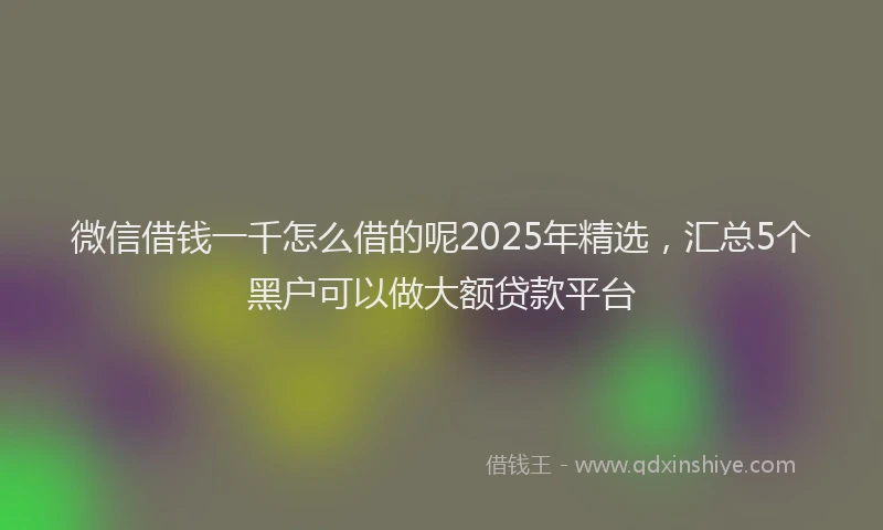 微信借钱一千怎么借的呢2025年精选，汇总5个黑户可以做大额贷款平台