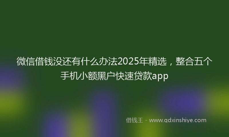 微信借钱没还有什么办法2025年精选，整合五个手机小额黑户快速贷款app