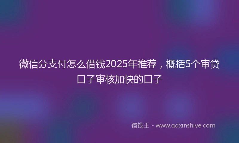 微信分支付怎么借钱2025年推荐，概括5个审贷口子审核加快的口子