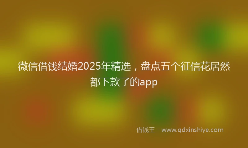 微信借钱结婚2025年精选，盘点五个征信花居然都下款了的app