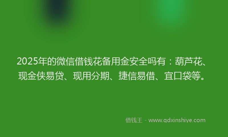 2025年的微信借钱花备用金安全吗有：葫芦花、现金侠易贷、现用分期、捷信易借、宜口袋等。