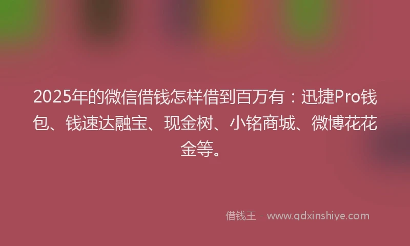 2025年的微信借钱怎样借到百万有：迅捷Pro钱包、钱速达融宝、现金树、小铭商城、微博花花金等。