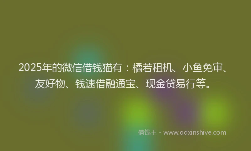 2025年的微信借钱猫有：橘若租机、小鱼免审、友好物、钱速借融通宝、现金贷易行等。