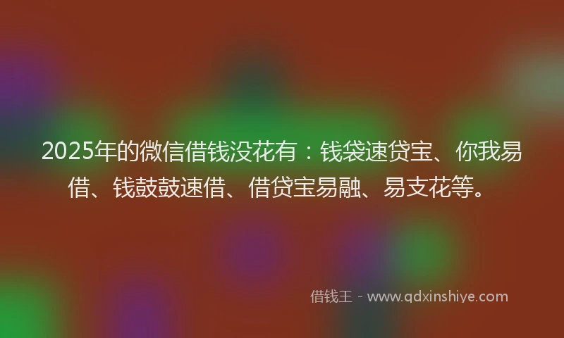 2025年的微信借钱没花有：钱袋速贷宝、你我易借、钱鼓鼓速借、借贷宝易融、易支花等。
