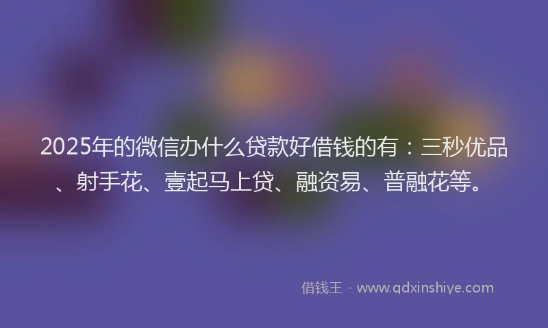 2025年的微信办什么贷款好借钱的有：三秒优品、射手花、壹起马上贷、融资易、普融花等。