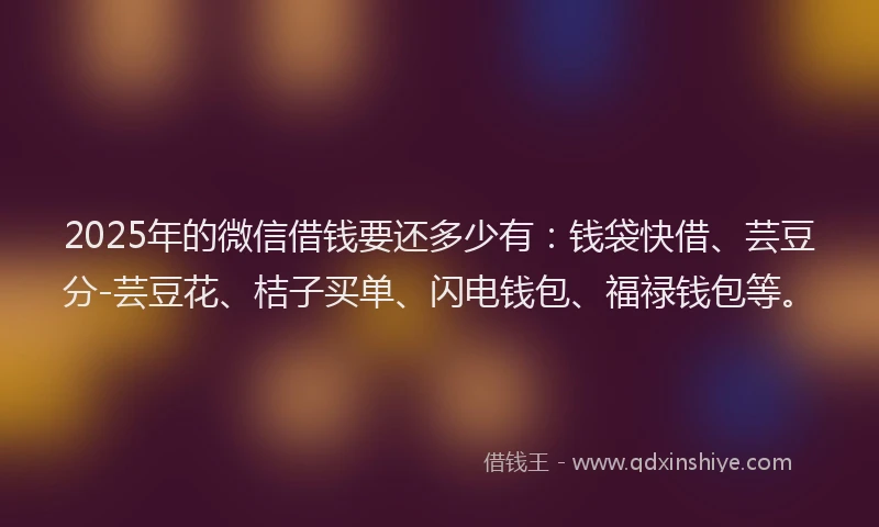 2025年的微信借钱要还多少有：钱袋快借、芸豆分-芸豆花、桔子买单、闪电钱包、福禄钱包等。