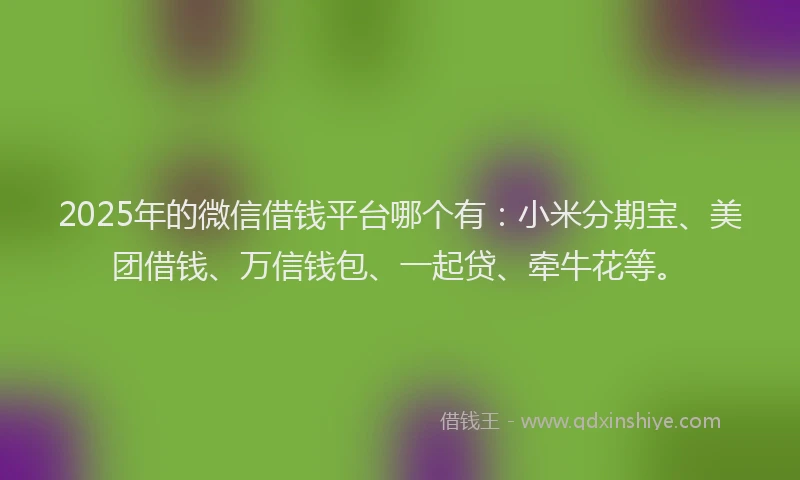 2025年的微信借钱平台哪个有：小米分期宝、美团借钱、万信钱包、一起贷、牵牛花等。