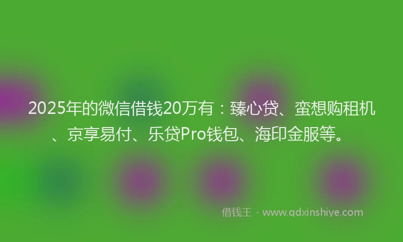 2025年的微信借钱20万有：臻心贷、蛮想购租机、京享易付、乐贷Pro钱包、海印金服等。
