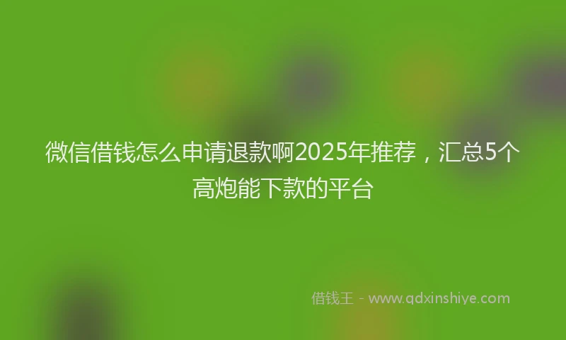 微信借钱怎么申请退款啊2025年推荐，汇总5个高炮能下款的平台