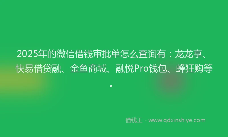 2025年的微信借钱审批单怎么查询有：龙龙享、快易借贷融、金鱼商城、融悦Pro钱包、蜂狂购等。