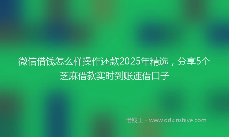 微信借钱怎么样操作还款2025年精选，分享5个芝麻借款实时到账速借口子
