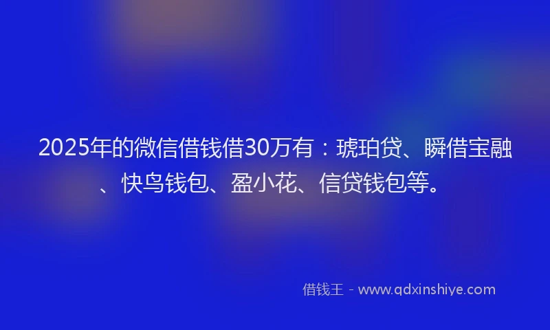 2025年的微信借钱借30万有：琥珀贷、瞬借宝融、快鸟钱包、盈小花、信贷钱包等。
