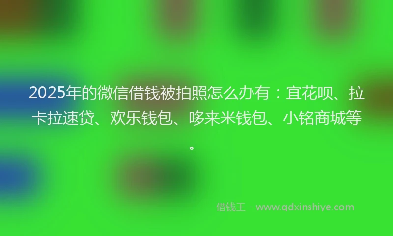 2025年的微信借钱被拍照怎么办有：宜花呗、拉卡拉速贷、欢乐钱包、哆来米钱包、小铭商城等。