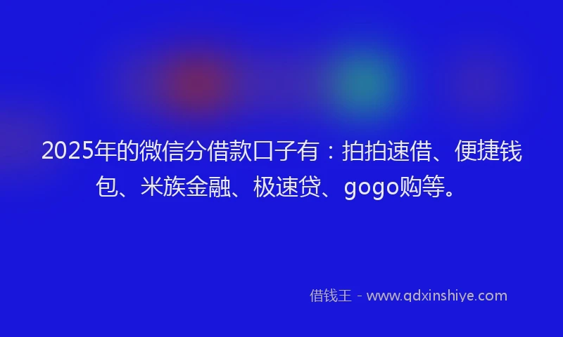 2025年的微信分借款口子有：拍拍速借、便捷钱包、米族金融、极速贷、gogo购等。