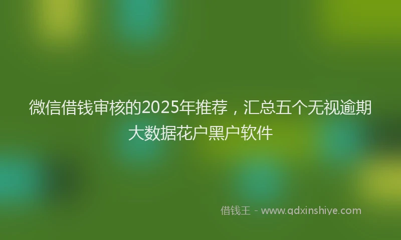 微信借钱审核的2025年推荐，汇总五个无视逾期大数据花户黑户软件