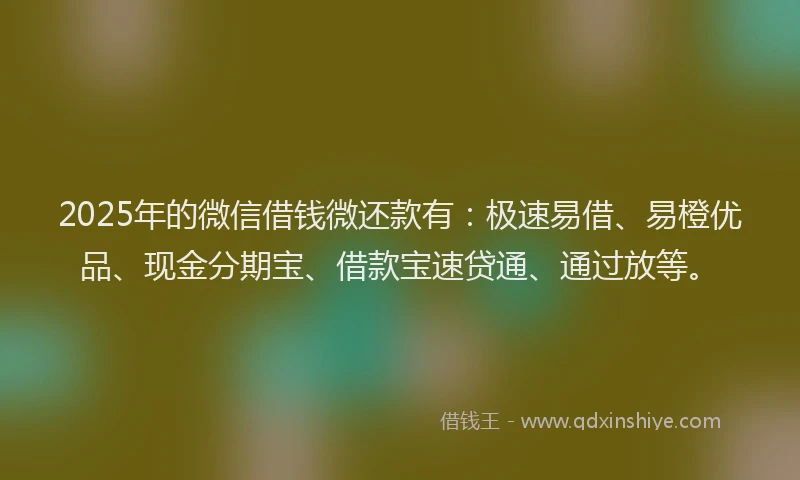 2025年的微信借钱微还款有：极速易借、易橙优品、现金分期宝、借款宝速贷通、通过放等。