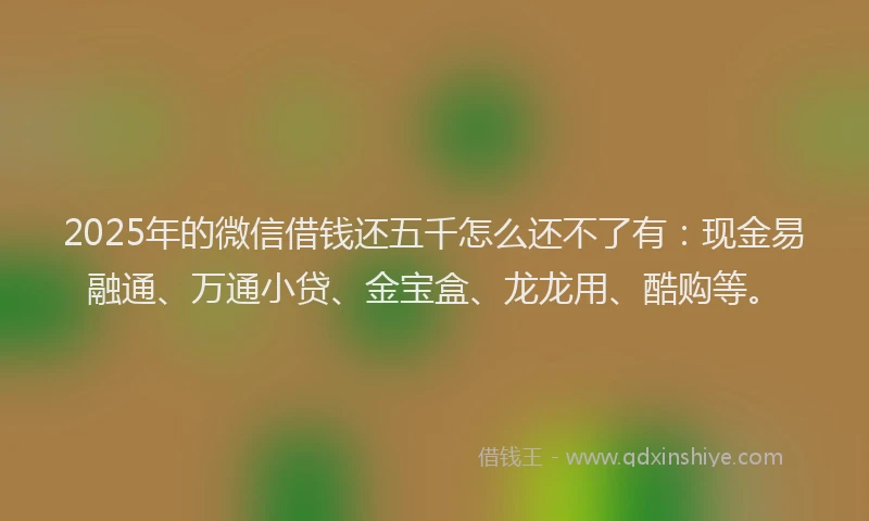 2025年的微信借钱还五千怎么还不了有：现金易融通、万通小贷、金宝盒、龙龙用、酷购等。