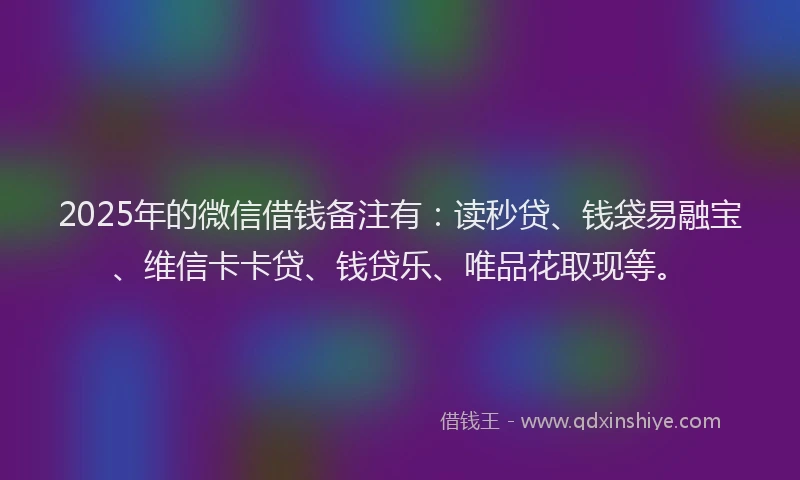 2025年的微信借钱备注有：读秒贷、钱袋易融宝、维信卡卡贷、钱贷乐、唯品花取现等。