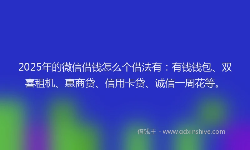 2025年的微信借钱怎么个借法有：有钱钱包、双喜租机、惠商贷、信用卡贷、诚信一周花等。