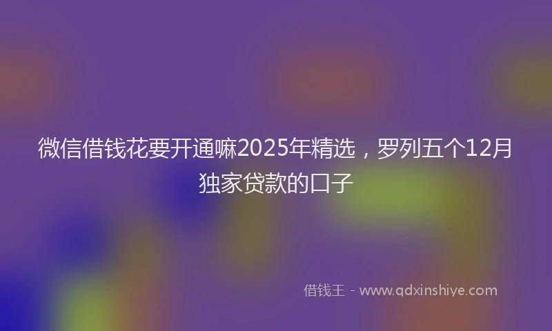 微信借钱花要开通嘛2025年精选，罗列五个12月独家贷款的口子