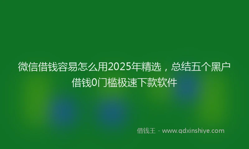 微信借钱容易怎么用2025年精选，总结五个黑户借钱0门槛极速下款软件